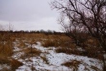 Турецкая каланча Султанийе. Дон у Елизаветинской и хутора Коса. В камышах. Тоня.