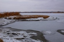 Турецкая каланча Султанийе. Дон у Елизаветинской и хутора Коса. В камышах.