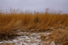 Турецкая каланча Султанийе. Дон у Елизаветинской и хутора Коса.