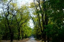 Архитектура юга России эпохи авангарда.  Поселок Сельмаш.