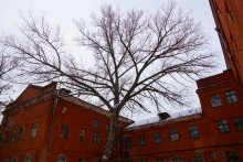 Архитектура юга России эпохи авангарда. Школа - гигант на Сельмаше