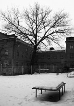 Архитектура юга России эпохи авангарда. Школа - гигант на Сельмаше