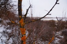 Дальние скалы, Садковские скалы, Зайцевские скалы. Зимой на берегу Кундрючьей