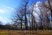 Пастухов. Красносулинский металлургический завод. Дмитрий Александрович Пастухов