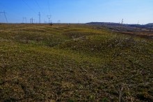 Окопы на берегу Аюты у хутора Пушкин которые рыли школьницы из Нижнекундрюченской