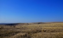 Весна на скалах и в лесах реки Кундрючьей