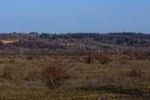 Весна на скалах и в лесах реки Кундрючьей