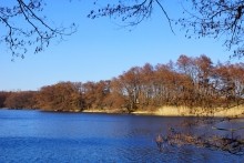 Весна на скалах и в лесах реки Кундрючьей