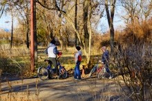 Весна на скалах и в лесах реки Кундрючьей