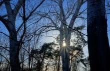 Весна на скалах и в лесах реки Кундрючьей