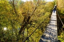 Подвесной мост через Кундрючью в хуторе Евсеевском