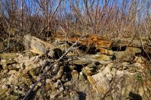 Исчезнувшая церковь в хуторе Евсеевском. Первые технологии железобетона.