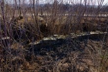 Исчезнувшая церковь в хуторе Евсеевском. Первые технологии железобетона.