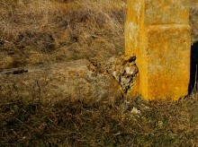 Исчезнувшая церковь в хуторе Евсеевском. Первые технологии железобетона.