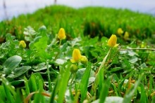 Весенние и древние берега Меотиды.