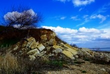 Весенние и древние берега Меотиды.