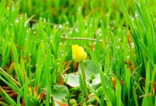 Весенние и древние берега Меотиды.