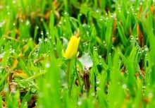 Весенние и древние берега Меотиды.