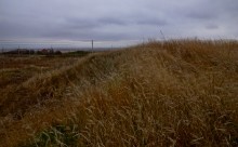 Танаис, остатки оборонительных сооружений Крымской войны.