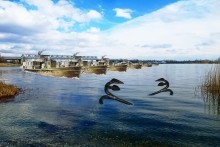 Оборона Ростова во время Крымской войны.