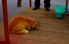 Ерик Лагутник, весенняя рыбалка.