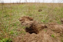 Редут у хутора Полушкин на берегу ерика Лагутник построенный во времена Крымской войны для защиты Ростова.