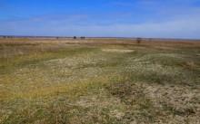 Редут у хутора Полушкин на берегу ерика Лагутник построенный во времена Крымской войны для защиты Ростова.