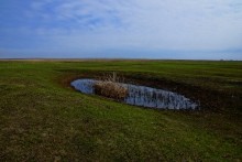 Редут у хутора Полушкин на берегу ерика Лагутник построенный во времена Крымской войны для защиты Ростова.