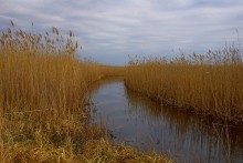 Редут у хутора Полушкин на берегу ерика Лагутник построенный во времена Крымской войны для защиты Ростова.