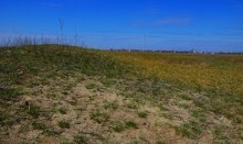 Редут у хутора Полушкин на берегу ерика Лагутник построенный во времена Крымской войны для защиты Ростова.