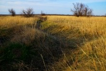 Глиняные скалы на Северском Донце и окопы над рекой.