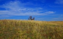 Глиняные скалы на Северском Донце и окопы над рекой.