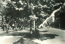 В краю донском, фотоальбом 1959 г.