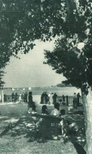 В краю донском, фотоальбом 1959 г.