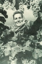 В краю донском, фотоальбом 1959 г.