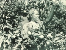 В краю донском, фотоальбом 1959 г.