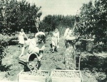 В краю донском, фотоальбом 1959 г.