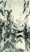 В краю донском, фотоальбом 1959 г.