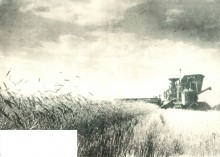 В краю донском, фотоальбом 1959 г.