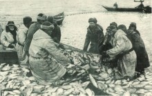 В краю донском, фотоальбом 1959 г.