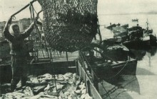 В краю донском, фотоальбом 1959 г.