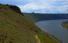 Скалы на берегу Северского Донца у поселка Коксовый, Бородиновский лес, терриконы, цветущие абрикосы и другие красоты края.