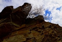 Скалы на берегу Северского Донца у поселка Коксовый, Бородиновский лес, терриконы, цветущие абрикосы и другие красоты края.