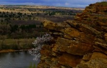 Скалы на берегу Северского Донца у поселка Коксовый, Бородиновский лес, терриконы, цветущие абрикосы и другие красоты края.