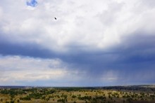 Скалы на берегу Северского Донца у поселка Коксовый, Бородиновский лес, терриконы, цветущие абрикосы и другие красоты края.