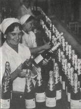 Промышленность Дона Комбинат шампанских вин.