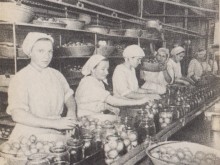 Промышленность Дона Смычка