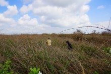 Хутор Кузнецовка, история хуторских храмов. Храм Ильи пророка.
