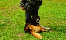 Хутор Кузнецовка, 