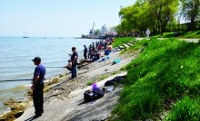 Большая рыбалка на Пушкинской набережной в Таганроге.